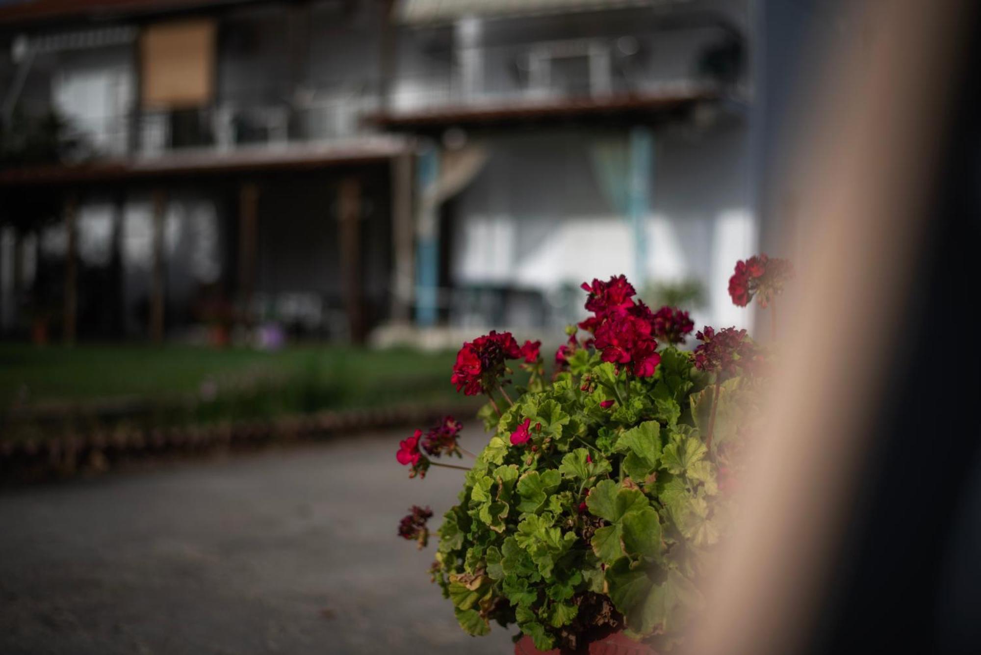 Marilena Apartments Anastasiou Velika  Esterno foto